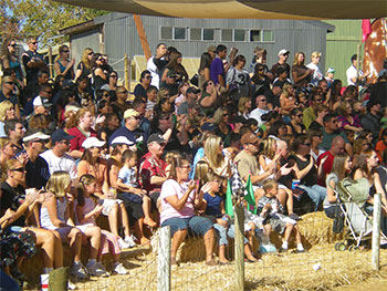 Pumpkin City Pumpkin Patch Yuba City