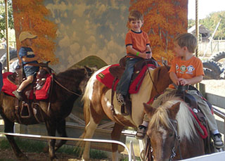 kids love the free rein pony rides at Bishops Pumpkin Farm in Wheatland, California