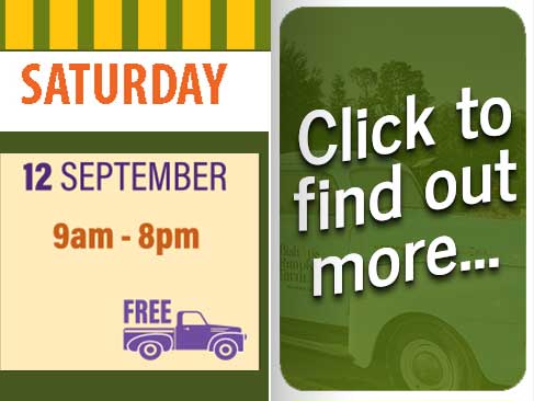 Hours & Pricing for Bishop's Pumpkin Farm in Wheatland