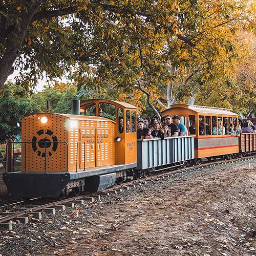 pumpkin patch train sacramento